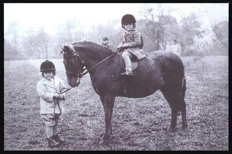 Two children on a horse in the field